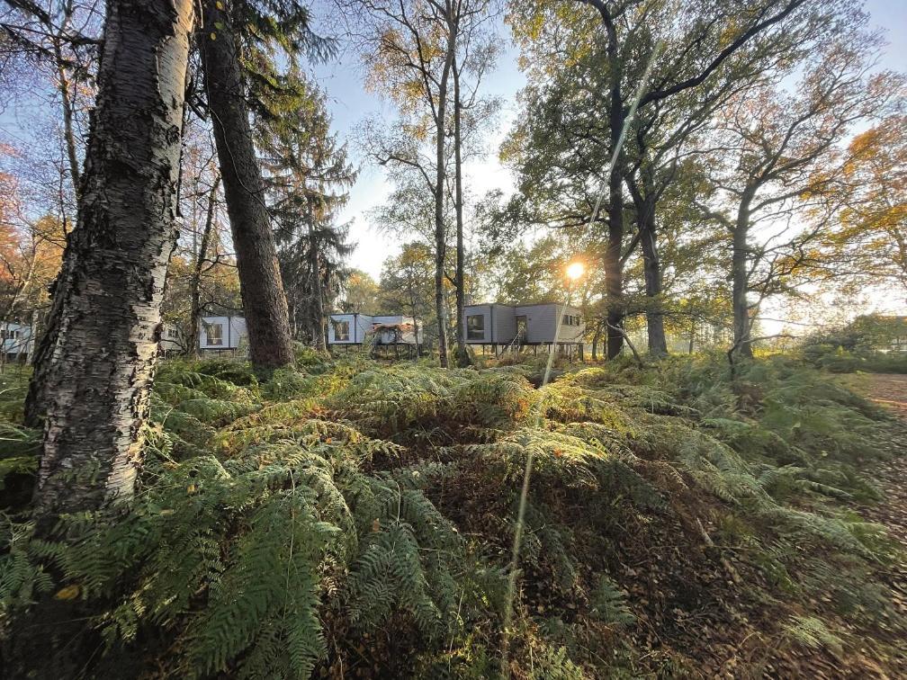 Tierpark Entdeckerhaeuser Wagenfeld Kültér fotó