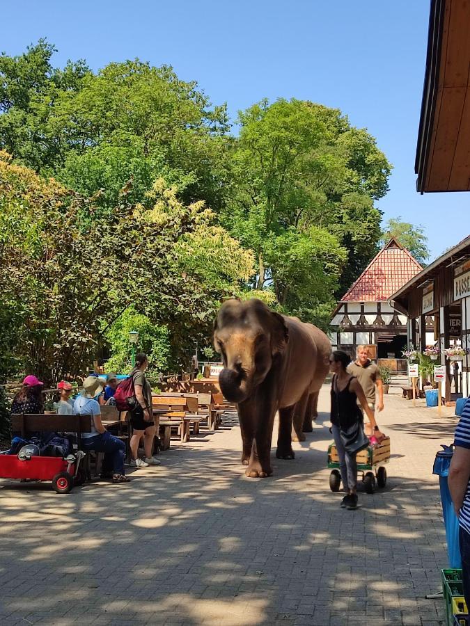 Tierpark Entdeckerhaeuser Wagenfeld Kültér fotó