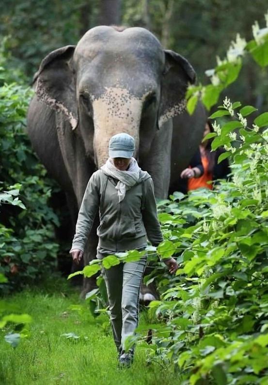 Tierpark Entdeckerhaeuser Wagenfeld Kültér fotó