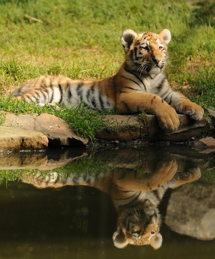 Tierpark Entdeckerhaeuser Wagenfeld Kültér fotó